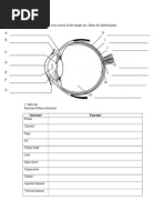 F2 Science C1 Sense of Sight