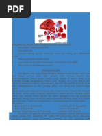 PEMERIKSAAN DARAH RUTIN.docx