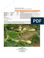 Ahuyama-Fertilización Con Yoorin PDF