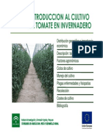 Cultivo Del Tomate en Invernadero