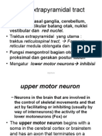 3.the Extrapyramidal Tract