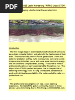 developing a professional pressence (autosaved) will send