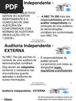 Auditoria Independente - Bloco 04 Ao 05