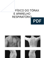 Ap Respiratório