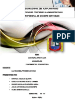 253128269-Auditoria-Tributaria.pdf