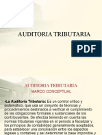254863748-AUDITORIA-TRIBUTARIA.ppt