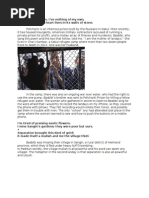 landays article4