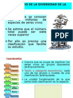 Clasificación de Los Seres Vivos