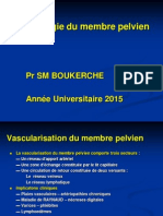 27 Anat Cours Angiologie Du Membre Pelvien 2015