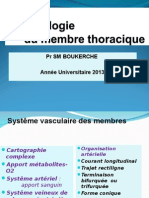 16 Anat Cours Angiologie MTH 2014