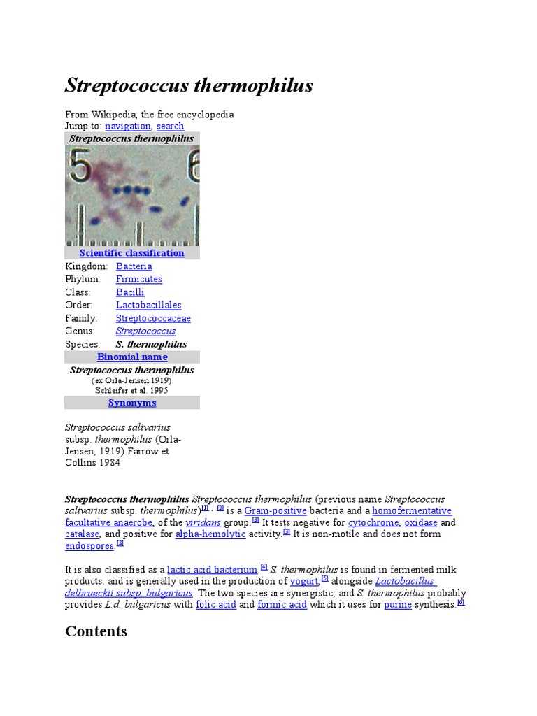 Overview of Streptococcus thermophilus | PDF | Microbiology | Prokaryote