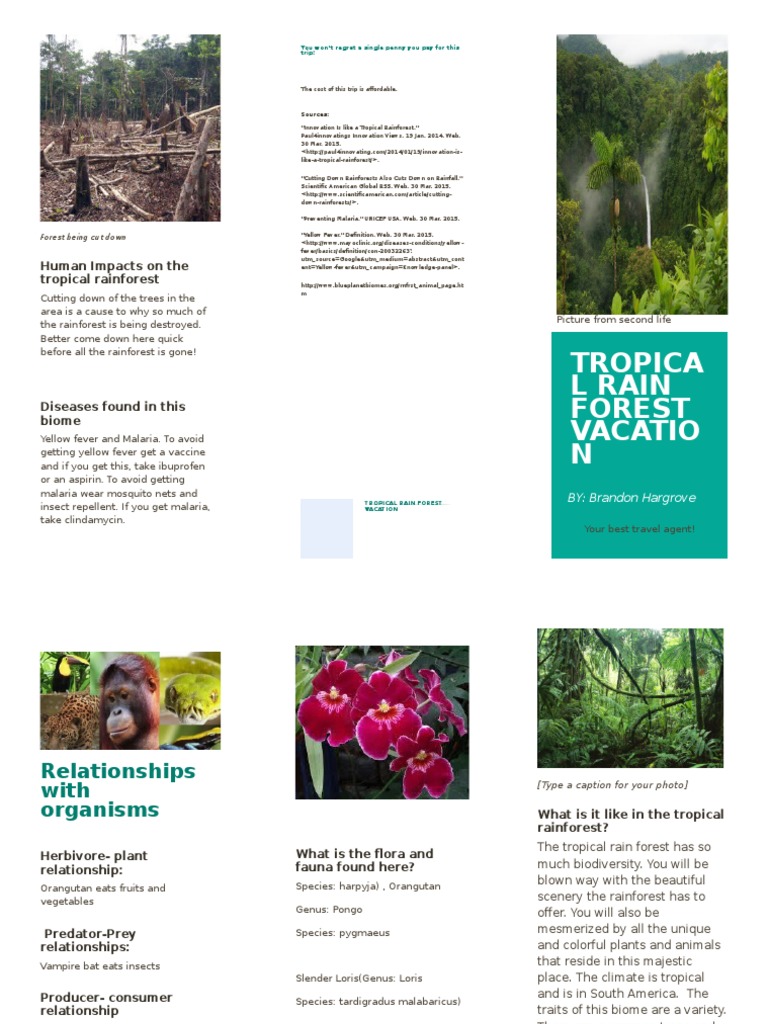 Tropical Rainforest Impacts & Travel | PDF | Technology & Engineering