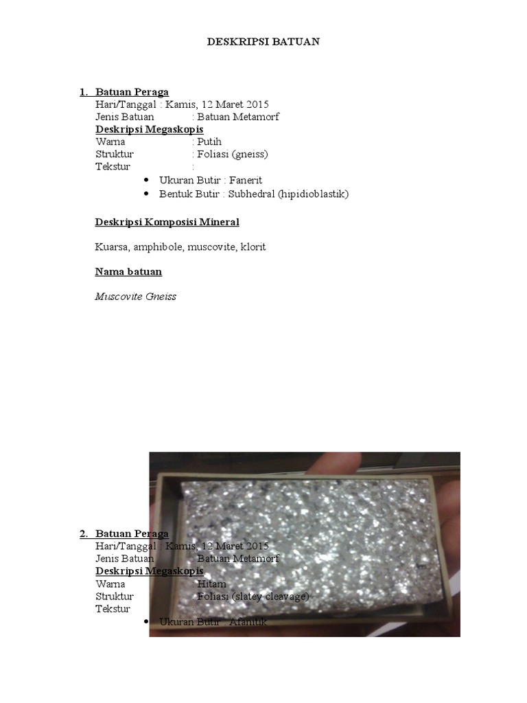 Metamorphic Rock Descriptions | PDF
