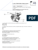 PRUEBA DE CIENCIAS 3°, 1 Unidad