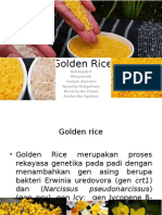 Golden Rice