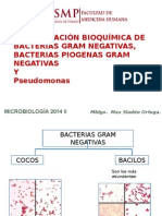 Identificación Bioquímica de Bacterias Gram Negativas