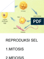 Reproduksi Sel 2011