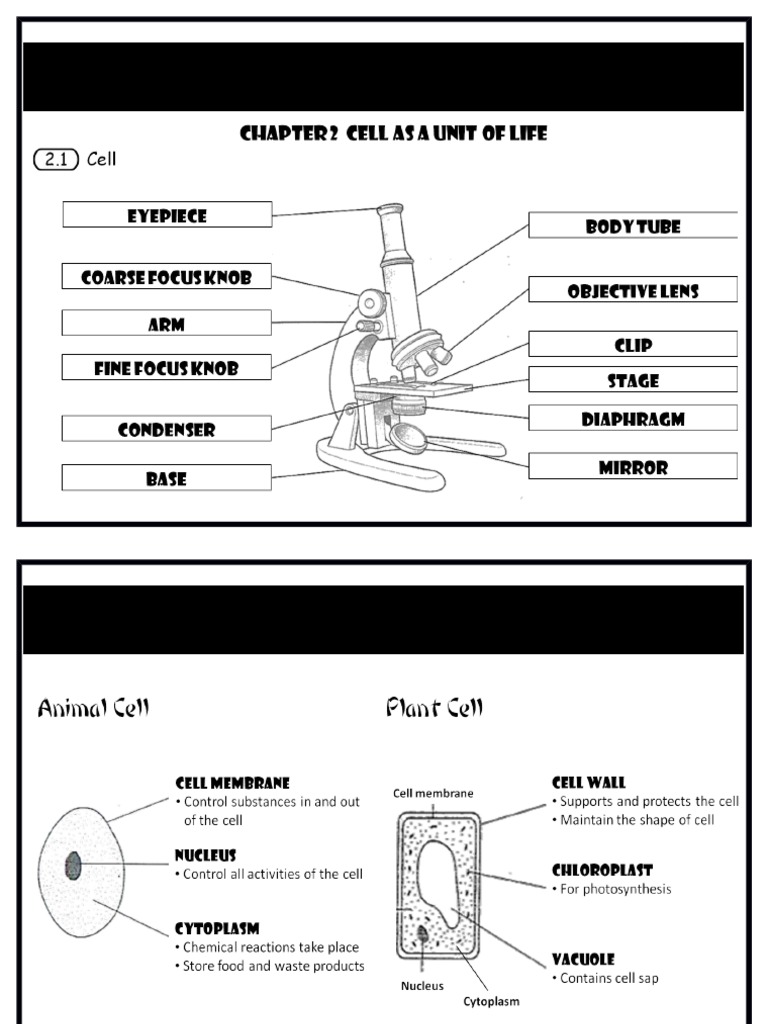 Pt3 f1 Sci Chp 2 Nota