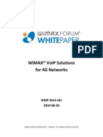 WiMAX VoIP Solutions