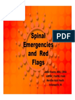 Rowles_Evaluation of Pain_Red Flags