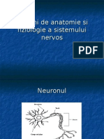 Neuro Logie