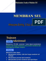 K - 5, K - 6 Membran Sel