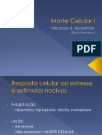 AULA - Morte Celular I PDF