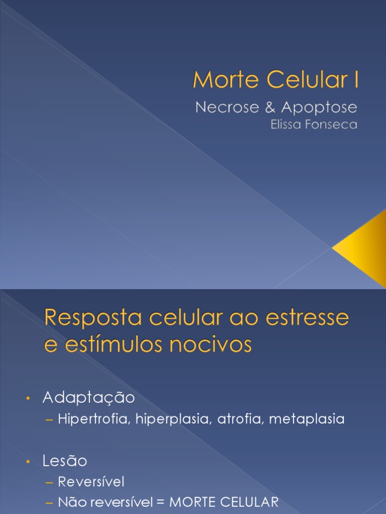 Necrose e Apoptose: Morte Celular | PDF | Necrose | Apoptose
