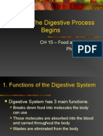 CH 15 2 The Digestive Process Begins
