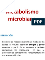 Metabolismo Microbiano