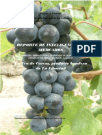 Informe de Inteligencia deINFORME DE INTELIGENCIA DE MERCADO UVA_2010.pdf Mercado Uva_2010