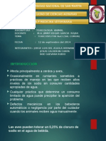 toxicosis por NaCl.pptx