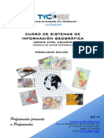 Curso Arcgis Usuario Online