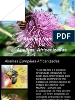 Abelhas Nativas e Africanizadas