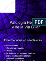 patologia hepatica