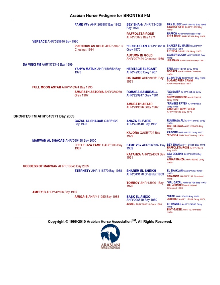 Arabian Horse Pedigree For BRONTES FM PDF Horse Breeding And Studs