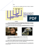 224_EVOLUCION HUMANA.pdf