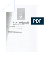 El Carbono y La Energia en Los Agroecosistemas