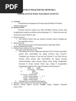 Download LaporanGenetikaPersilanganPadaTanamanJagungbysany375SN263321880 doc pdf