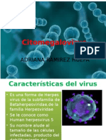 citomegalovirus1-130528163725-phpapp01.pptx