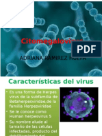 Citomegalovirus1 130528163725 Phpapp01