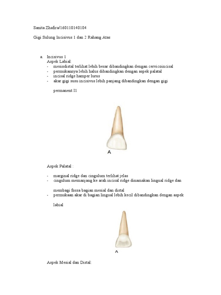 Kurakhovo porno rasmlar