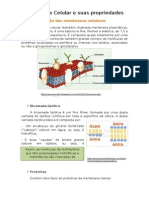 #Resumo#