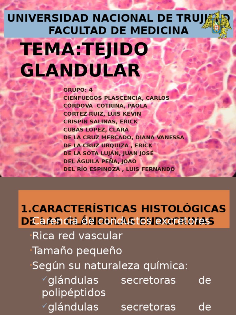 Diapositivas Tejido Glandular Membrana mucosa Hormona
