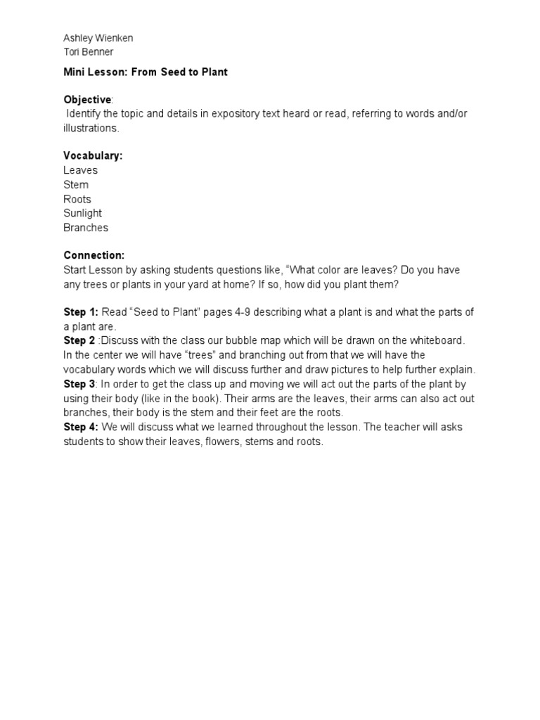 Minilesson | PDF