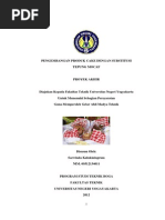 Download mocaf by dindarachma SN263355313 doc pdf