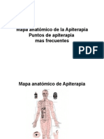 Mapa Anatómico de La Apiterapia
