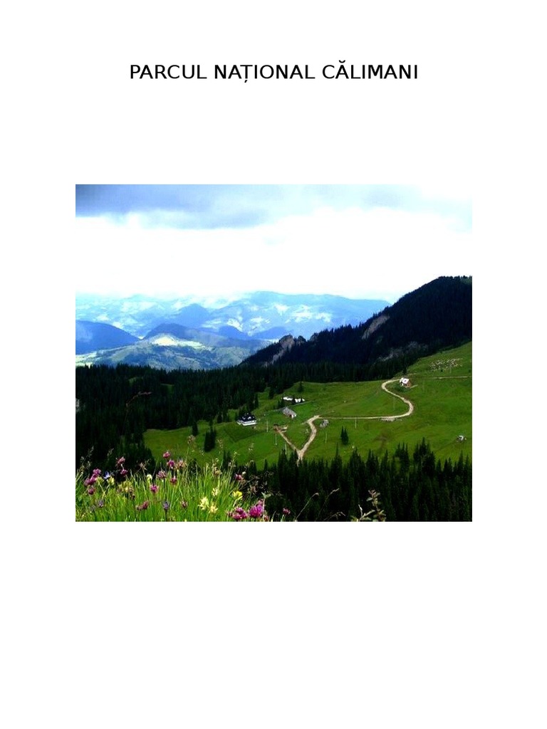 Parcul National Calimani | PDF