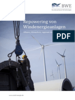 Repoweringbroschuere 2012 Web