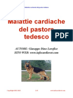 Malattie Cardiache Del Pastore Tedesco